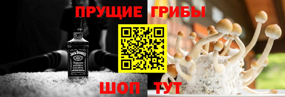 Галлюциногенные грибы Magic Shrooms Протвино