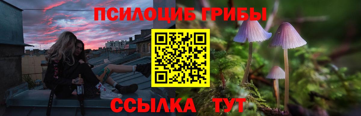купить закладку  Псилоцибиновые грибы Magic Shrooms  Вход с VPN  Протвино 